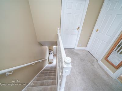 Picture 23